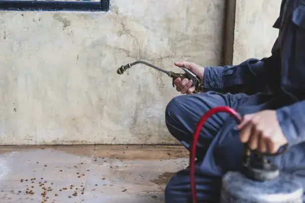 Pest Control Abu Dhabi for Apartments vs. Villas – Key Differences Pest control Abu Dhabi – Affordable services for apartments and villas from AED 99 at UrbanMop